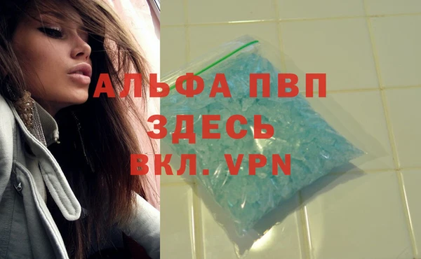 apvp Вязники