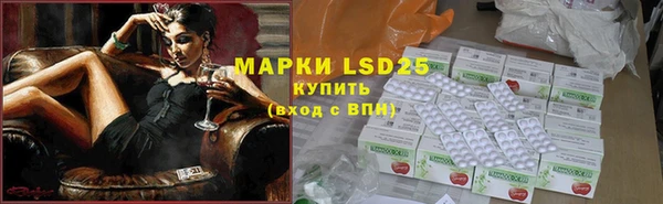 apvp Вязники
