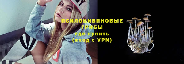 apvp Вязники