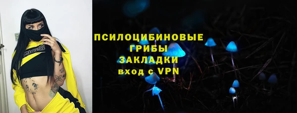 apvp Вязники