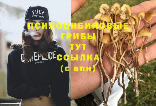 mix Вязьма