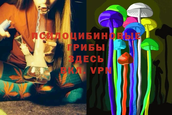 apvp Вязники