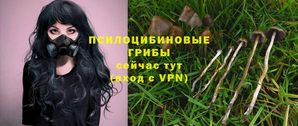 mix Вязьма