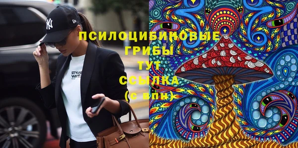 apvp Вязники